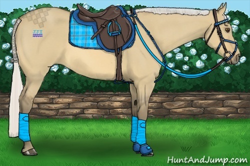 Horse Color:Silver Buckskin Roan Dun Rabicano