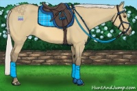 Horse Color:Silver Buckskin Roan Dun Rabicano