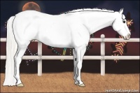 Horse Color:Silver Smoky Blue Roan Splash Appaloosa