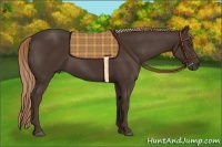 Horse Color:Liver Chestnut Sabino