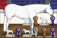 Horse Color:Gray Bay Splash Tobiano Frame Rabicano 