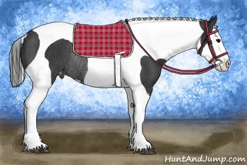 Horse Color:Black Splash Tobiano Varnish Rabicano 