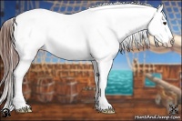 Horse Color:Brown Appaloosa