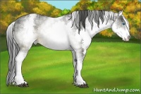 Horse Color:White Spotted Buckskin Splash 