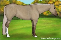 Horse Color:Silver Grullo 