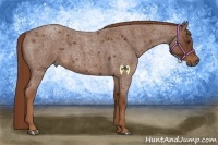 Horse Color:Red Roan 