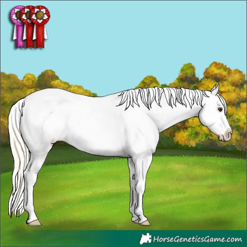 Horse Color:Unknown 