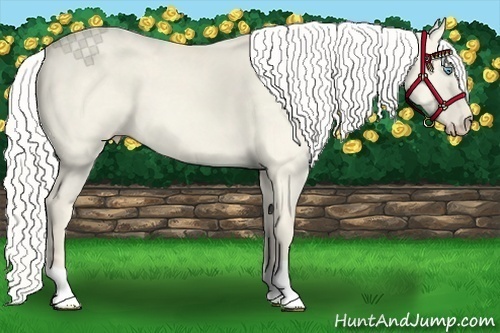 Horse Color:Silver Smoky Creme Dun 