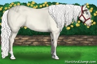 Horse Color:Silver Smoky Creme Dun 