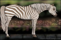 Horse Color:Silver Grullo 