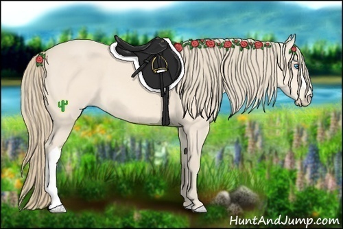 Horse Color:Perlino 
