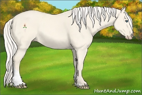 Horse Color:Cremello Dun Tobiano 
