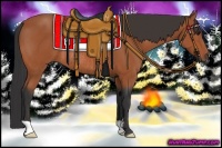 Horse Color:Bay Frame Rabicano 