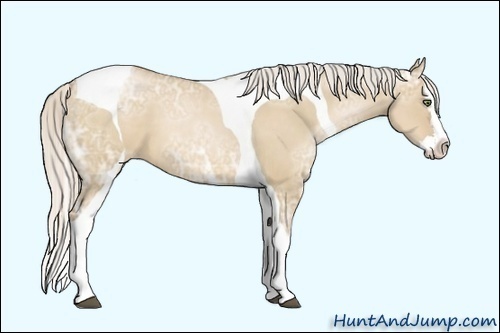 Horse Color:White Spotted Silver Grullo Ice Pearl Splash Tobiano