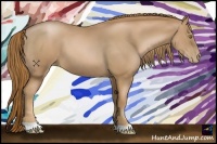 Horse Color:Chestnut Pearl