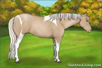 Horse Color:Silver Black Pearl Sabino Tobiano 