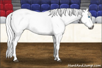 Horse Color:Gray Bay Splash 