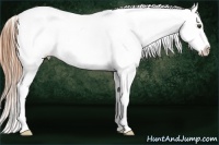 Horse Color:Buckskin Sabino Blanket 