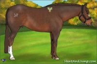 Horse Color:Liver Chestnut 