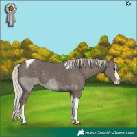 Horse Color:Silver Black Sabino Splash Tobiano