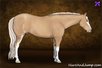 Horse Color:White Spotted Silver Classic Champagne 