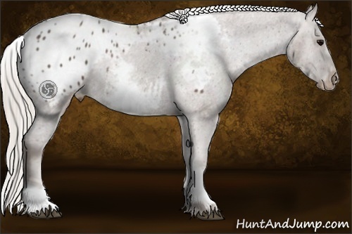 Horse Color:White Spotted Silver Black Blanket 