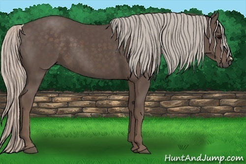 Horse Color:Silver Black Frame 
