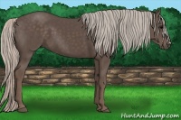 Horse Color:Silver Black Frame