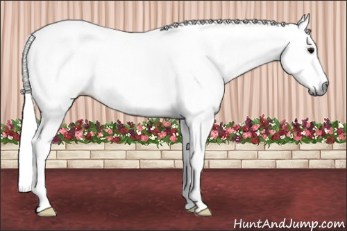 Horse Color:Gray White Spotted Brown
