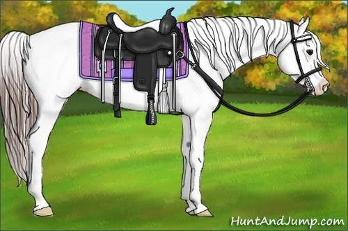 Horse Color:Black Splash Tobiano Blanket 