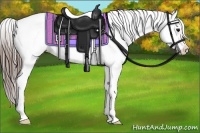 Horse Color:Black Splash Tobiano Appaloosa