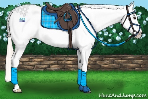 Horse Color:Silver Bay Dun Splash Frame Near Leopard