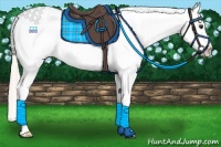Horse Color:Silver Bay Dun Splash Frame Appaloosa 