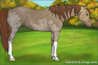 Horse Color:Chestnut Ice 