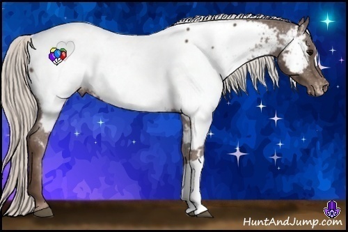 Horse Color:Silver Black Appaloosa 