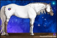 Horse Color:Silver Black Appaloosa 