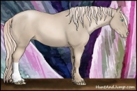 Horse Color:Chocolate Palomino Pearl 