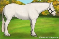 Horse Color:Smoky Creme Roan 