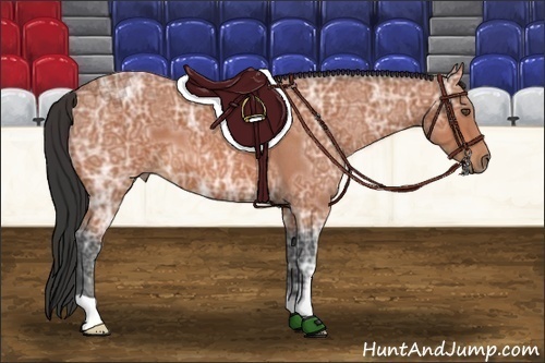 Horse Color:Bay Ice Roan 