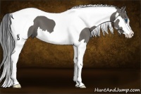 Horse Color:Grullo Splash Tobiano Frame 