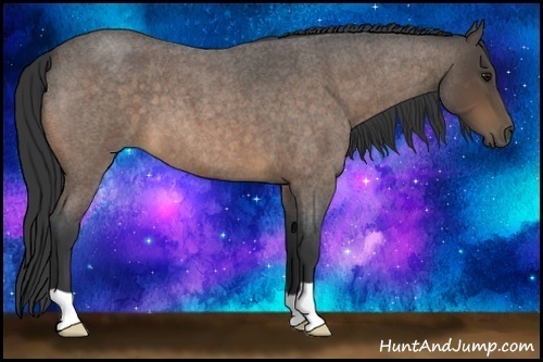 Horse Color:Buckskin Roan 