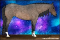 Horse Color:Buckskin Roan 
