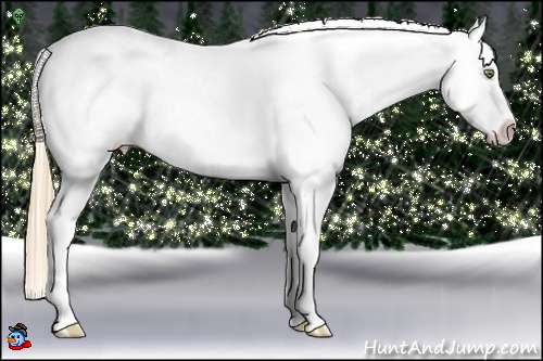 Horse Color:Gold Champagne Near Leopard