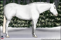 Horse Color:Gold Champagne Near Leopard