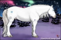 Horse Color:Chocolate Palomino Roan Pearl Appaloosa