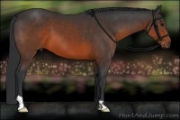 Horse Color:Brown Frame 