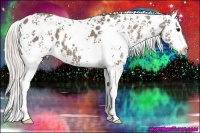 Horse Color:White Spotted Silver Grullo Blanket