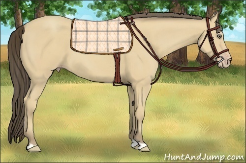 Horse Color:Amber Cream Champagne 