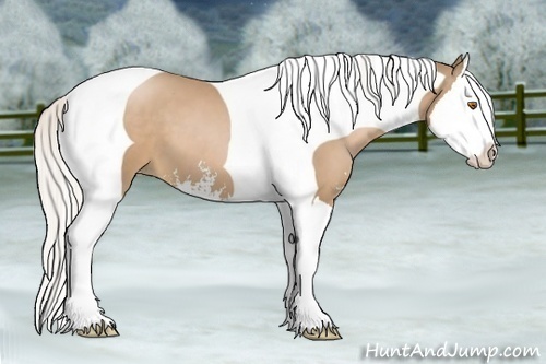 Horse Color:Silver Black Pearl Sabino Splash Tobiano 