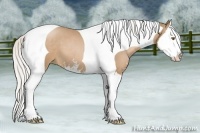 Horse Color:Silver Black Pearl Sabino Splash Tobiano 